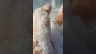 Хрустящий снег релаксация