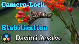 Davinci Resolve Camera Lock Stabilization