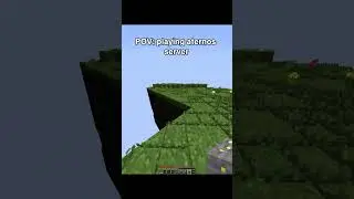 POV: Average Players Aternos server 