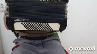 Hohner Concerto II preuređen