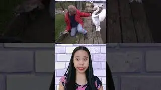 KAKEK2 MELAWAN SEEKOR ANGSA😱 