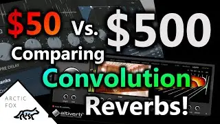 Can a $50 Reverb Compete with the Industry Standard?