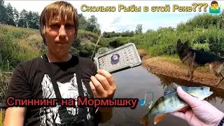 Сколько Рыбы в этой Реке???🤷‍♂️ Спиннинг на мормышку🎣