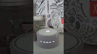 Алиса, что ты умеешь?