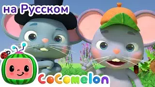 Деревенская мышь и городская | НОВАЯ СЕРИЯ | CoComelon на русском — Детские песенки