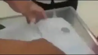 Сайлауда алты адамға дауыс бермекші болғандар ұсталды.