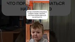 тгк хистрактор #егэ #школково #история #обществознание
