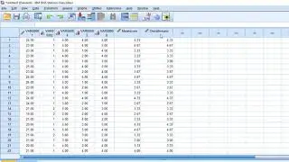 How to calculate the overall mean of Likert scale on SPSS
