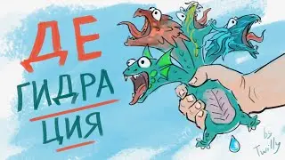 Ваш любимый RSL