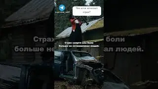 Мир сошёл с ума, люди потеряли страх 