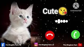 Cute Message ringtone 2024_new trending sms tone_notification tone new ringtone 2024(720P_HD)
