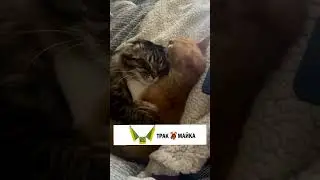 Это мы никуда сегодня не пошли и остались батониться дома 