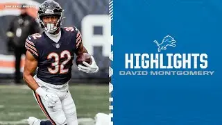 David Montgomery Highlights