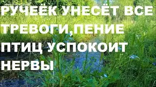 НЕЖНОЕ ЖУРЧАНИЕ РУЧЕЙКА И ПЕНИЕ ПТИЦ УСПОКОЯТ НЕРВЫ,СНИМУТ НАПРЯЖЕНИЕ .РУЧЕЁК УНЕСЁТ ВСЕ ТРЕВОГИ.