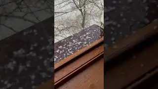 Град 3 шевчик 