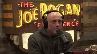 Joe Rogan: Sabre tooth tigers found in Alaska!! and Ancient fossils being stolen from him.