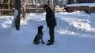 Тренировка команды 