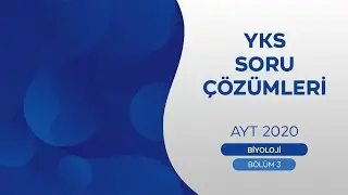 YKS SORU ÇÖZÜMLERİ 2020-AYT BİYOLOJİ - 3  