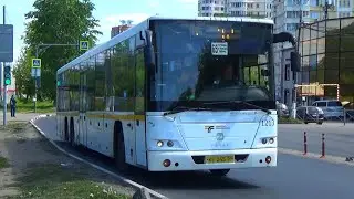 "Скоро уйдёт в историю!" Автобус ГолАЗ-622810-10 с маршрутом №65 "Торбеево - платформа Ольгино"