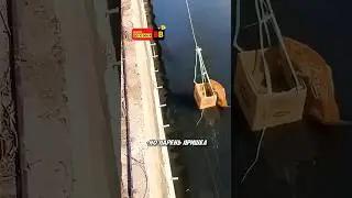 Кот упал в реку 😱
