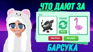 ЧТО ДАЮТ ЗА БАРСУКА В ПЕРВЫЙ ДЕНЬ ОБНОВЛЕНИЯ!!! ТРЕЙДЫ НА БАРСУКА В АДОПТ МИ!!