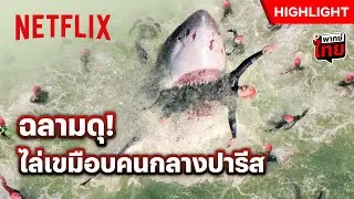 บุฟเฟต์มนุษย์แบบนี้ พี่ฉลามชอบ! - Under Paris | Netflix