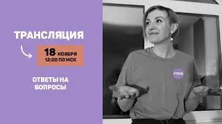 Стрим Винни-Пухов 😜
