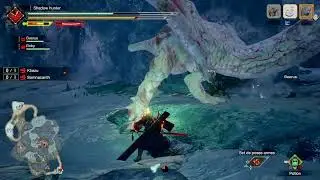 Monster Hunter Rise*
