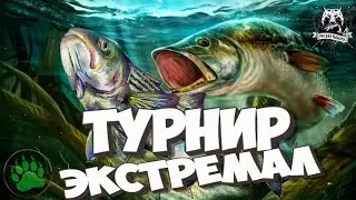 Русская Рыбалка 4 - Турнир Экстремал  Премы на стриме  СУПЕР РОЗЫГРЫШИ НА ТРОВО РР4