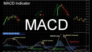 Как определить потенциал отработки и достоверности дивергенции по MACD