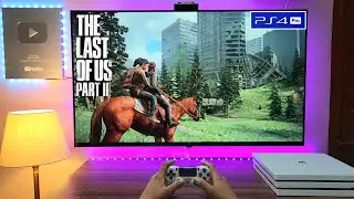 THE LAST OF US II (PS4 PRO) 4K HDR