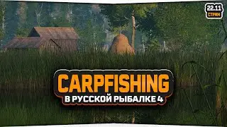 Ловля Карпа в Русской Рыбалке 4 — Стрим.