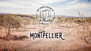 Les Cartes Postales d'Aurélia - Episode 7 : Montpellier