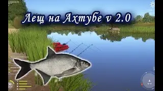 Восточный лещ на Ахтубе, попытка №2