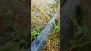 22klavat 500 metr masofaga