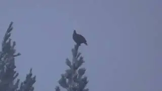 2 декабря 2023 г.