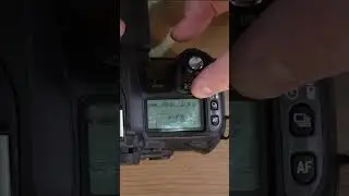 Nikon D80 Shutter Priority Mode Demonstrated with Exposure Compensation