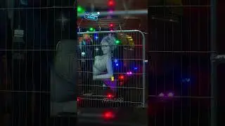 Доставка пиццы 😬  