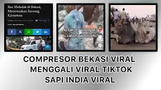 Compresor viral di Bekasi & Sapi India Viral