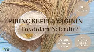 MODERN AKTAR PİRİNÇ KEPEĞİ YAĞI|FAYDALARI NELERDİR?