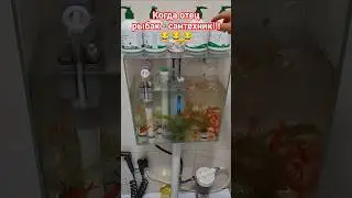 Рыбак года 😂!!! У кого такое есть!!! 