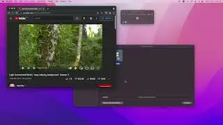 Record audio in Quicktime with SWB Audio App