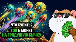 ТОП 5 монет с большим потенциалом на предстоящий бычий цикл