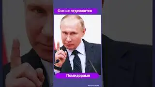 Какие санкции может ввести Россия // Фрейтак 