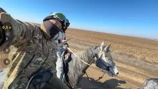 Готовимся на скачки