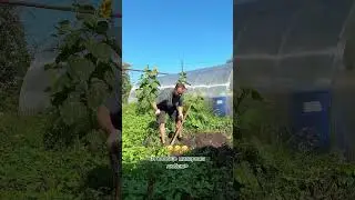 Осторожно, мат! 🤬