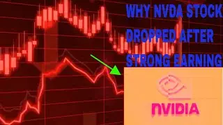 "Why Nvidia's Stock Dropped After Strong Earnings | Uncovering the Real Reasons Behind the Fall"