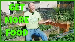 6 Basic Survival Garden Tasks (for Better Harvests)
