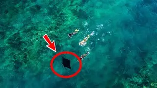 The drone noticed something terrible, realizing what it was, the man called the rescuers!