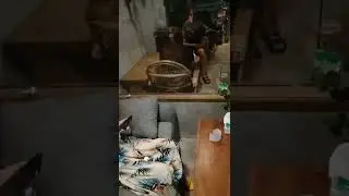 Persamaan Kopi Jakarta Barat